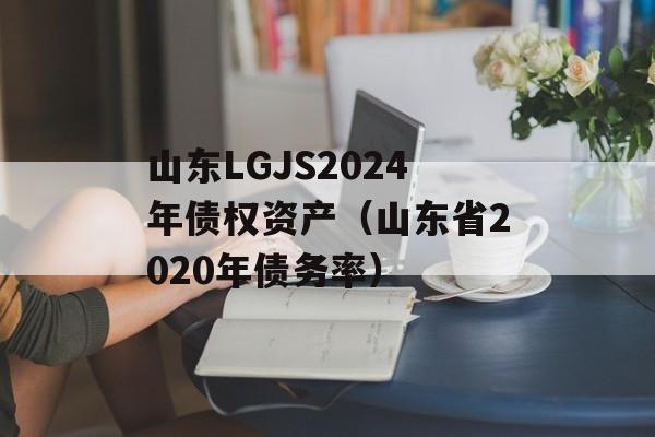 山东LGJS2024年债权资产（山东省2020年债务率）